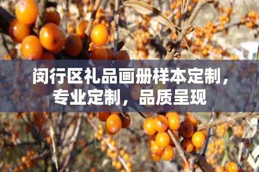 闵行区礼品画册样本定制，专业定制，品质呈现