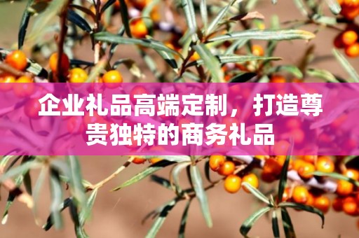 企业礼品高端定制，打造尊贵独特的商务礼品