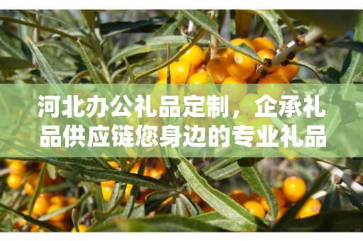 河北办公礼品定制，企承礼品供应链您身边的专业礼品定制公司